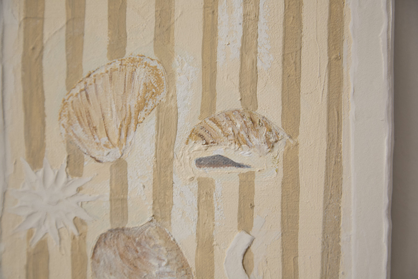 Mystery Shells
