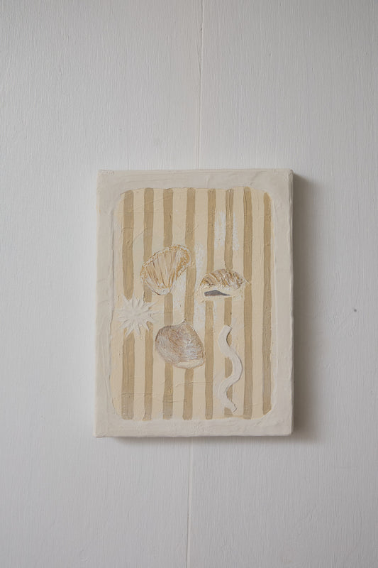 Mystery Shells