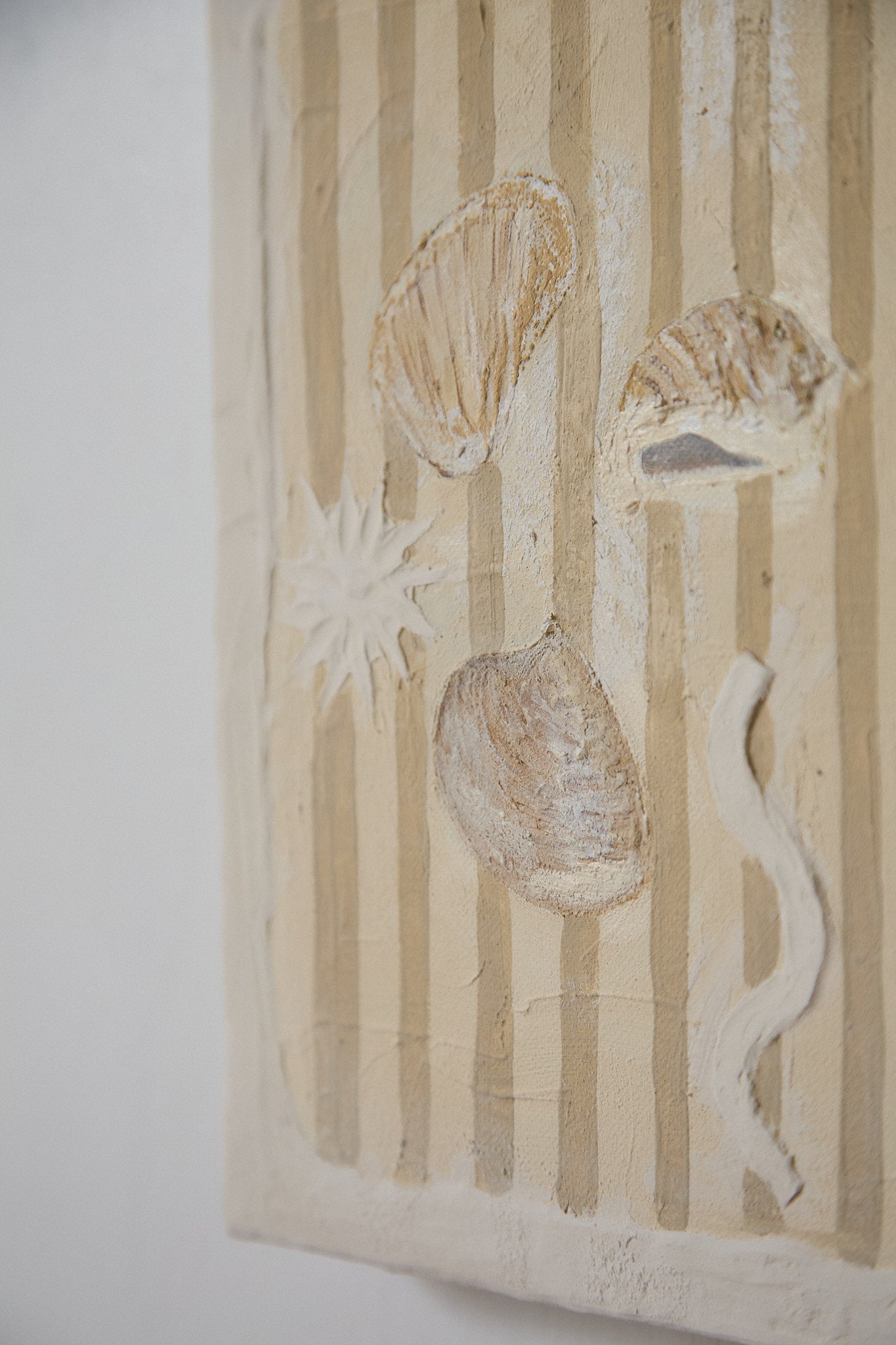 Mystery Shells