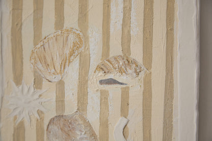 Mystery Shells